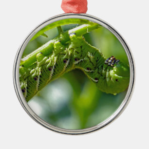 Tomato Hornworm Julgransprydnad Metall