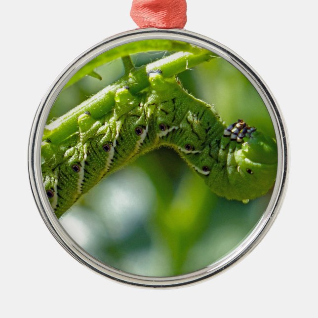 Tomato Hornworm Julgransprydnad Metall (Framsidan)