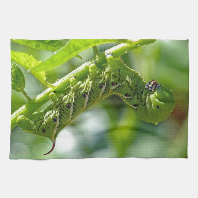 Tomato Hornworm Kökshandduk (Horisontell)