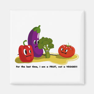 Tomato humor magnet