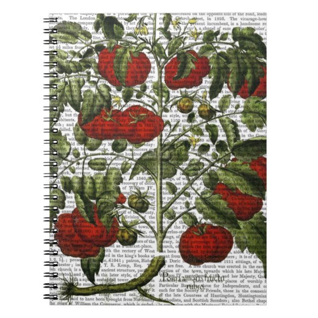 Tomato Plant Anteckningsbok Med Spiral (Framsidan)