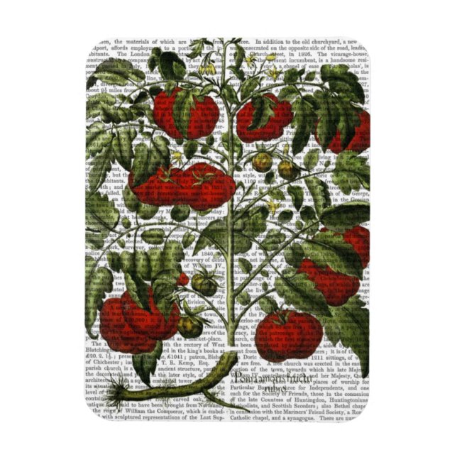 Tomato Plant Magnet (Vertikal)