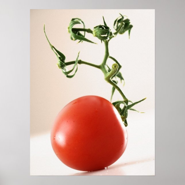 Tomato Poster (Framsidan)