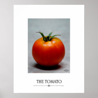 Tomato Poster