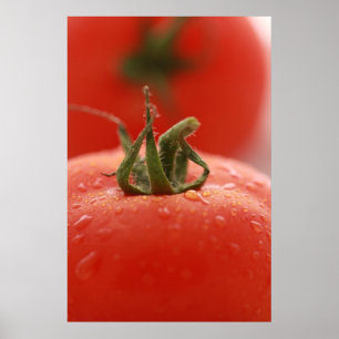 Tomato Print Poster