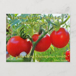 Tomato Roligt Quote Postcard Vykort