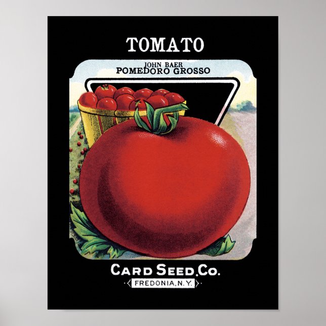 Tomato Seed Packet Label Poster (Framsidan)