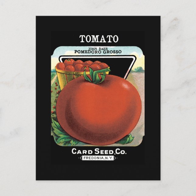 Tomato Seed Packet Vykort (Framsida)
