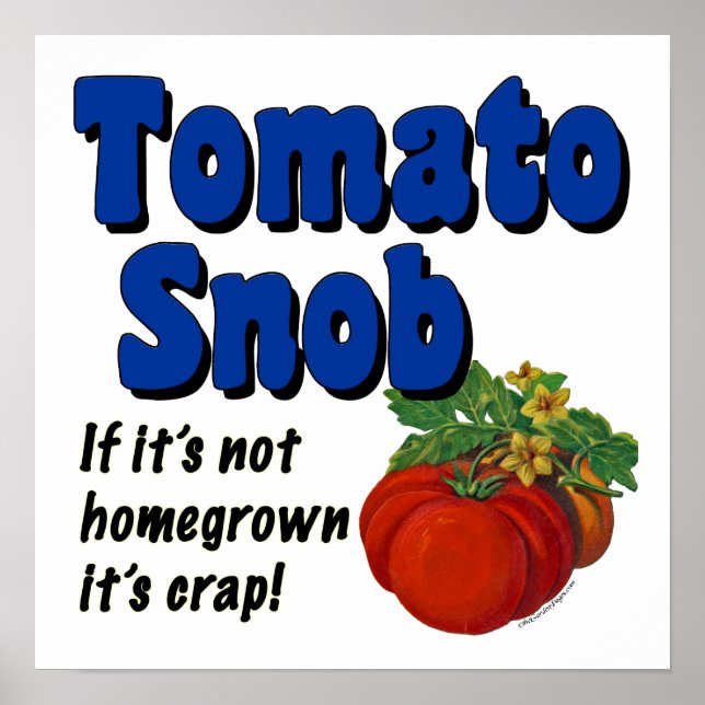 Tomato Snob Funny Sayed Vintage Art Poster (Framsidan)