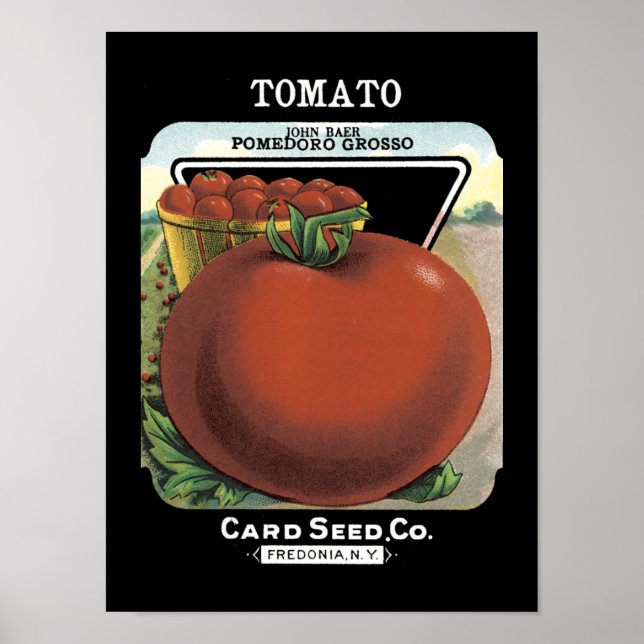 Tomato Vintage Seed Packet Poster (Framsidan)