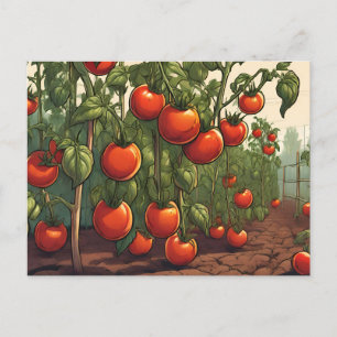 Tomatplantor med rödmogna tomater i Garden Vykort
