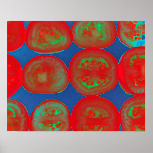 Tomatsegment Poster