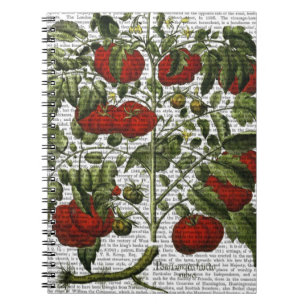 Tomatväxt Anteckningsbok Med Spiral