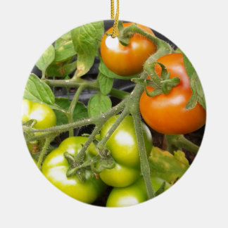 Tomatväxt Julgransprydnad Keramik