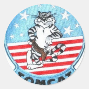 TOMCAT F-14 -- DET MEST FIN SOM FLÖG NÅGONSIN RUNT KLISTERMÄRKE