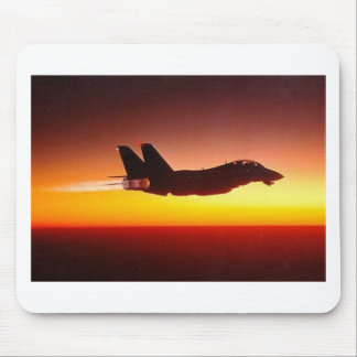 TOMCAT F-14 I AFTERBURNER MUSMATTA