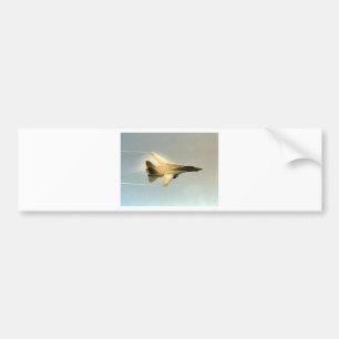 TOMCAT F-14 MED DUNSTEN BILDEKAL