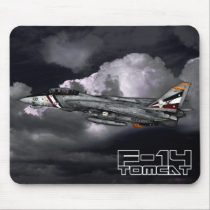 Tomcat F-14 Musmatta