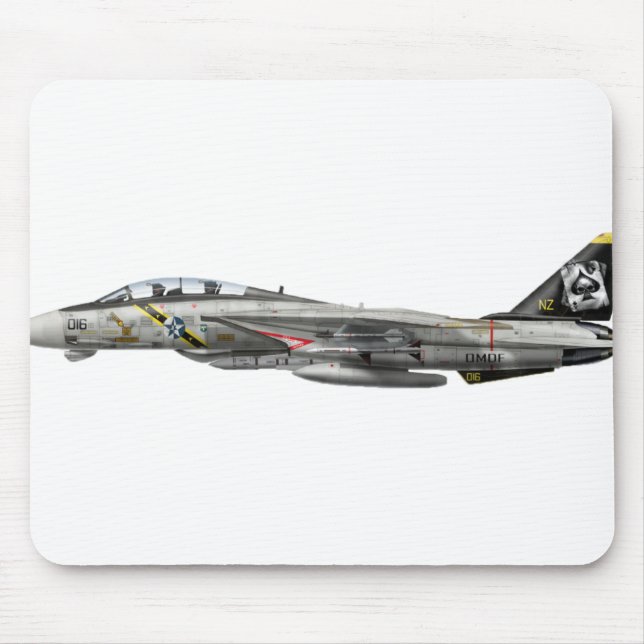Tomcat F-14 Musmatta (Framsidan)