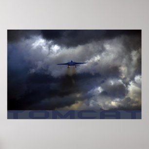 Tomcat Poster