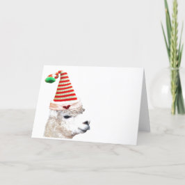 Tomhat ALPACA CHRISTMAS GREETING CARDS Tack Kort