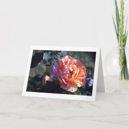 Tomma hälsningskort för rosa ros kort