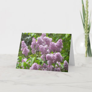 Tomma härliga lilor noterar Kort-Blommigt Kort