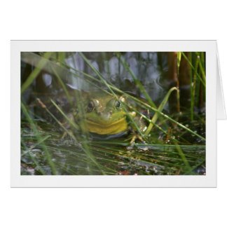 Tomma kort för tjurgroda