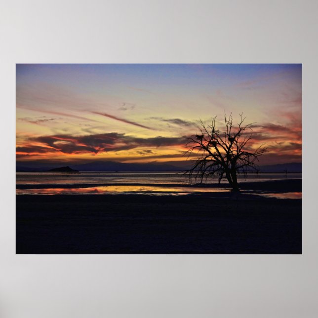 Tomma Nests i Dead Träd Poster (Framsidan)