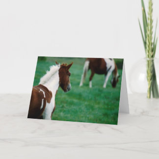 Tomma Notecard_Horses som betar i sommar Kort