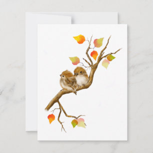 Tomma skydd mot baby Sparrow Birds Blank Notecards Tack Kort