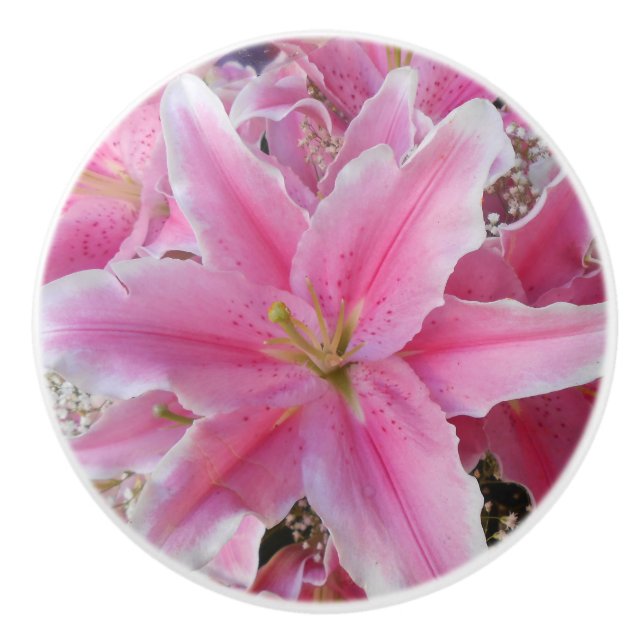 Tommasina Knopp (Framsidan)