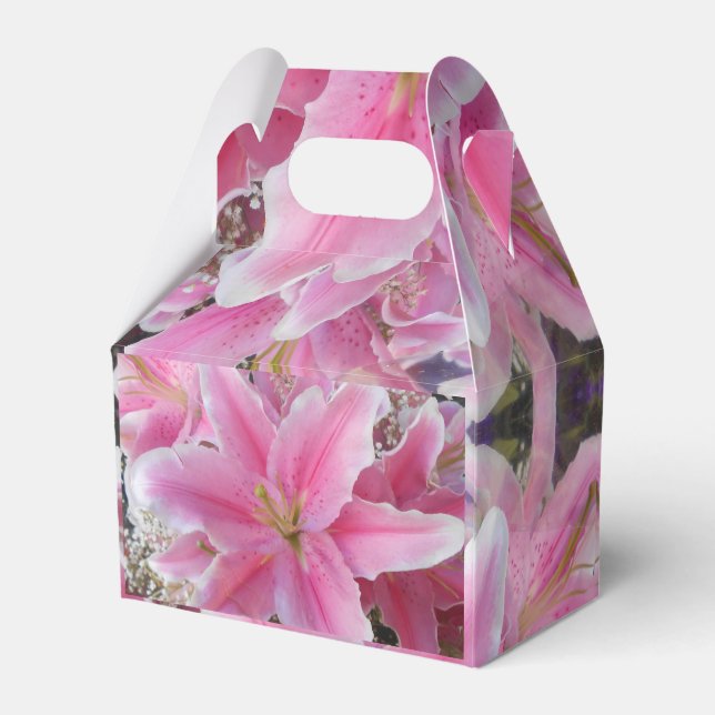 Tommasina Presentaskar (Baksidan Sidan)