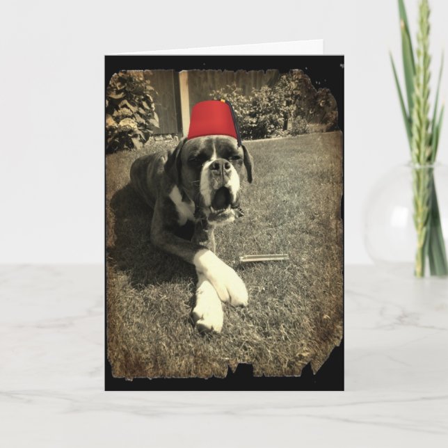 Tommy Cooper Boxer Hund Kort (Framsida)