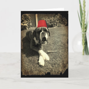 Tommy Cooper Boxer Hund Kort