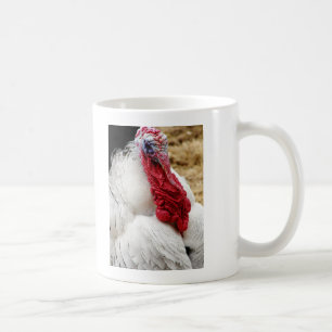 Tommy Kaffemugg