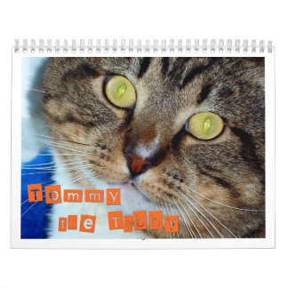 Tommy tabbyen kalender