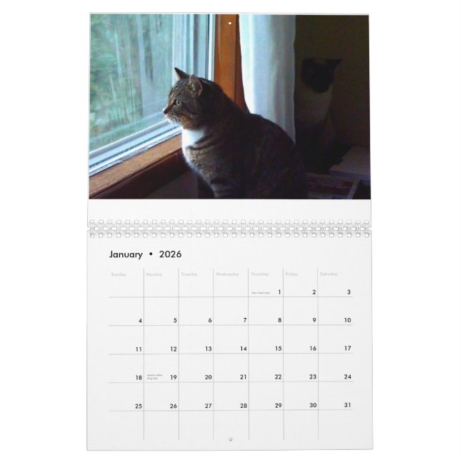 Tommy tabbyen kalender (Jan 2026)
