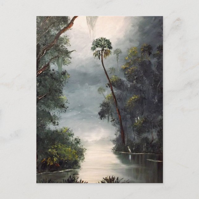 Tomoka flod Florida Vykort (Framsida)