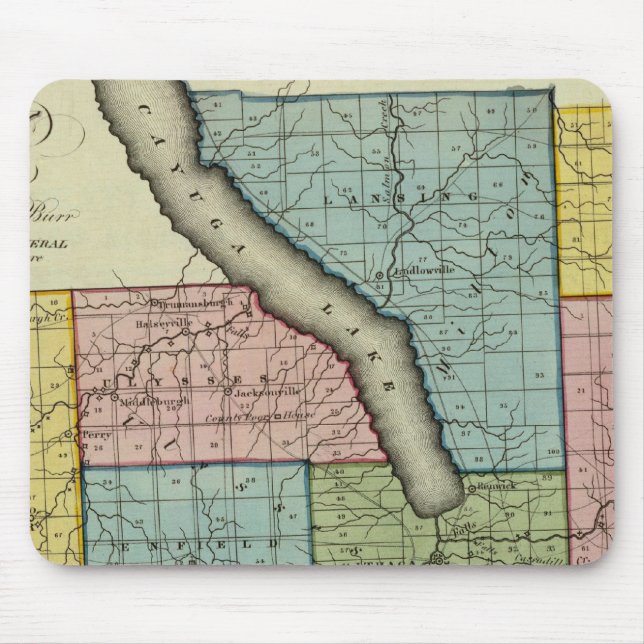 Tompkins Musmatta (Framsidan)