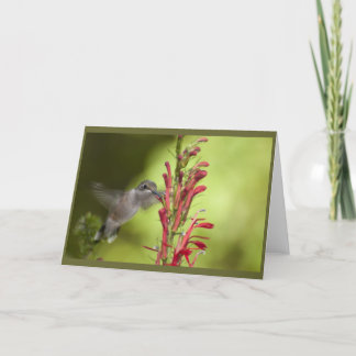 Tomt anteckningskort