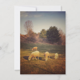 Tomt anteckningskort