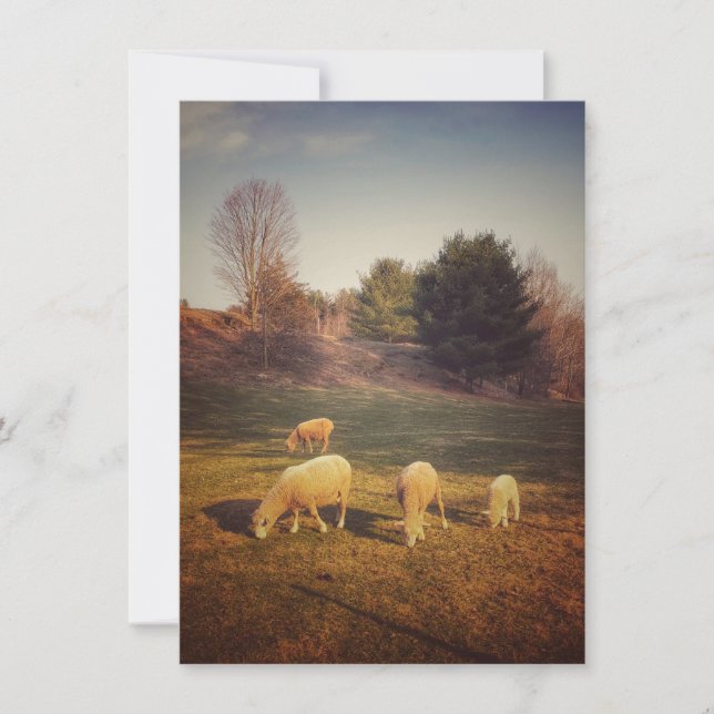 Tomt anteckningskort (Framsida)