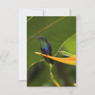 Tomt anteckningskort