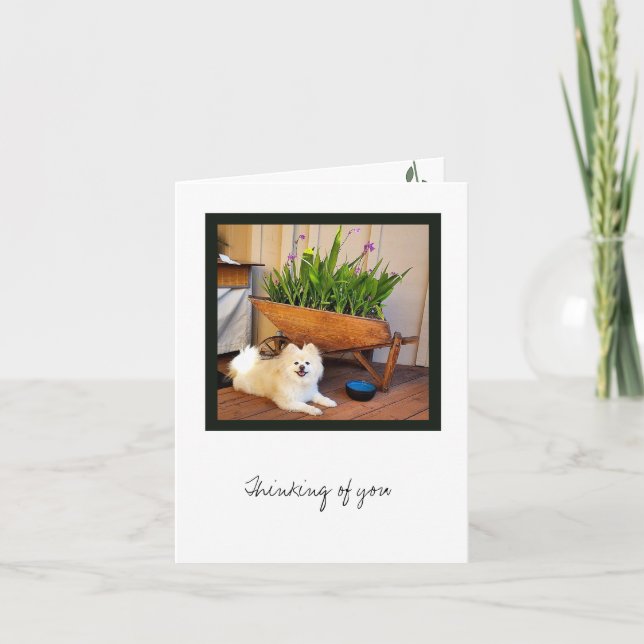 Tomt anteckningskort för Cosmo-samling (Framsida)