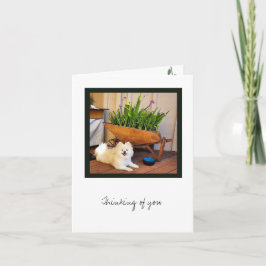 Tomt anteckningskort för Cosmo-samling