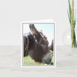Tomt anteckningskort för Donkey