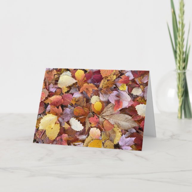 Tomt anteckningskort för höst löv (Framsida)