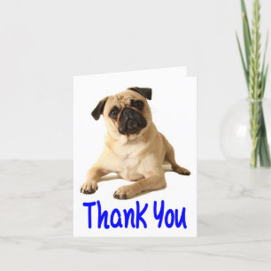 Tomt anteckningskort för Tack Pug Puppy Hund