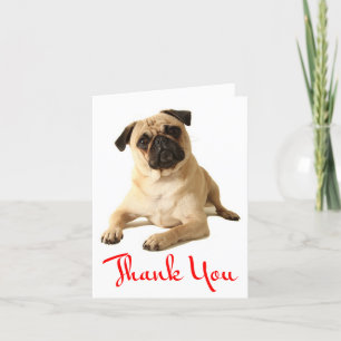 Tomt anteckningskort för Tack Pug Puppy Hund